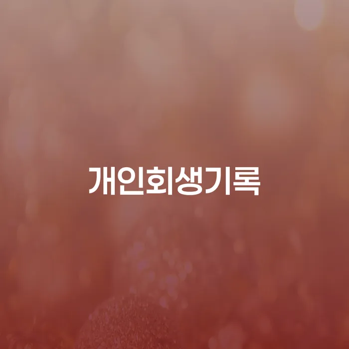 개인회생인가 채무 효과적인 해결방법 검토를 한 다음에는