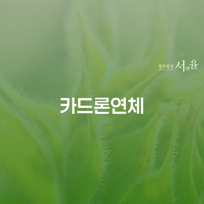 대출 연체 개인회생으로 해결 확인하자
