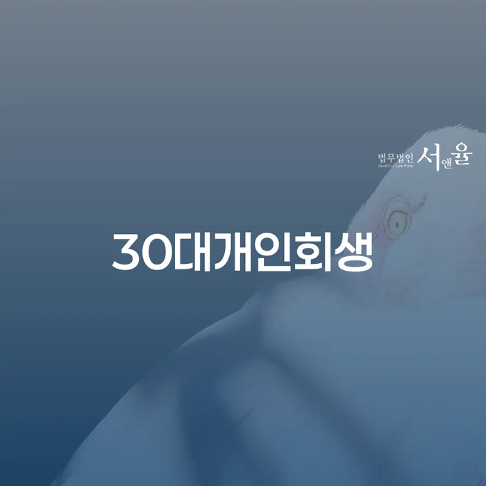 개인신용회복지원 개인회생으로 현명하게 잘 하는 변호사