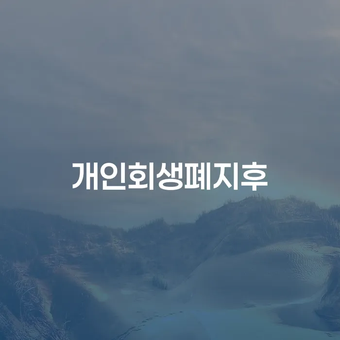 무주군 개인회생자격 대출 받은 돈채무조정 노하우들