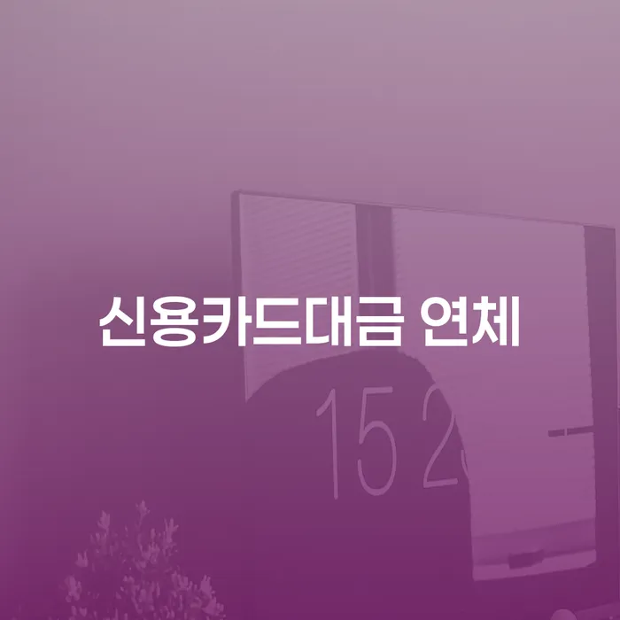 보은군 개인파산 연체 채무 신속해결방법 유선상담