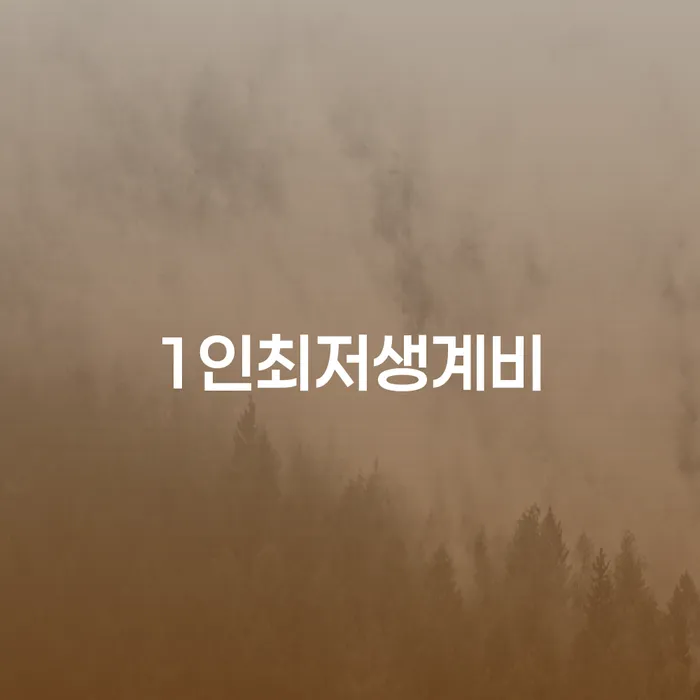 충청남도 개인회생준비서류 빚독촉 확인 하고 진행