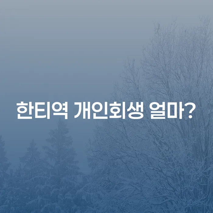 한티역 개인회생 얼마?