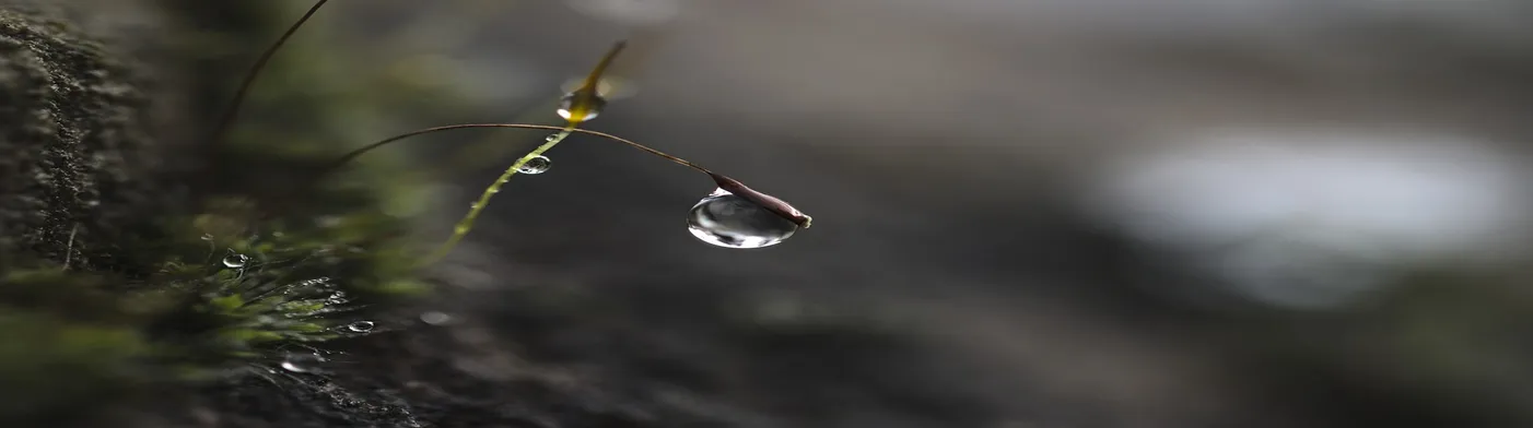 법무법인 서앤율