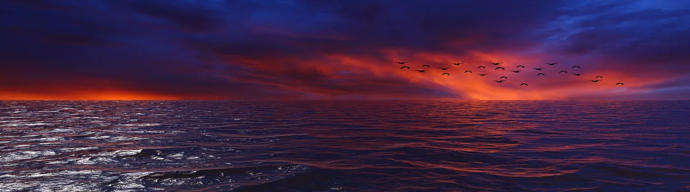 법무법인 서앤율