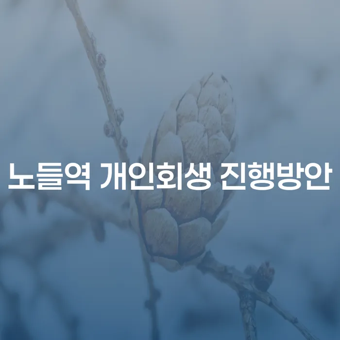 노들역 개인회생 진행방안