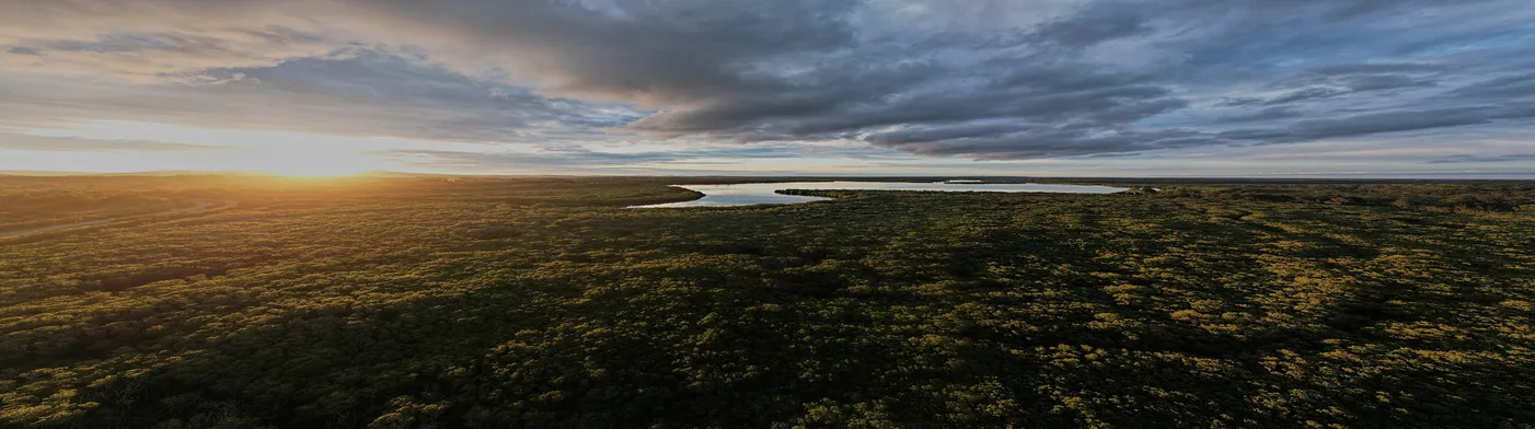 법무법인 서앤율