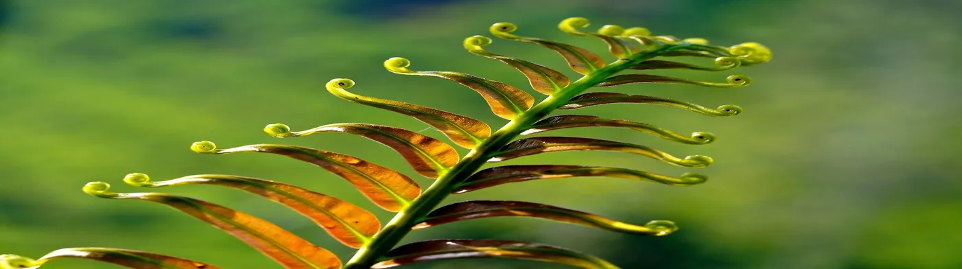 법무법인 서앤율