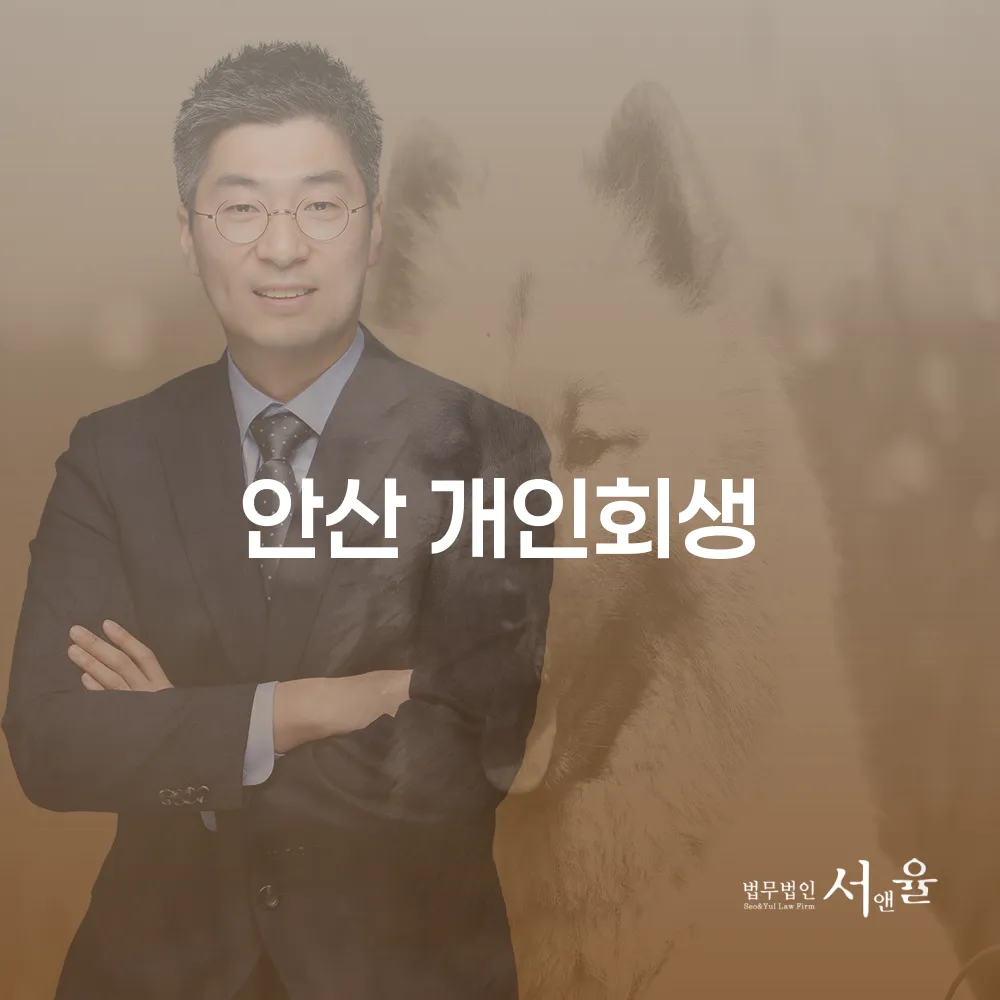 안산 개인회생의 모든 것