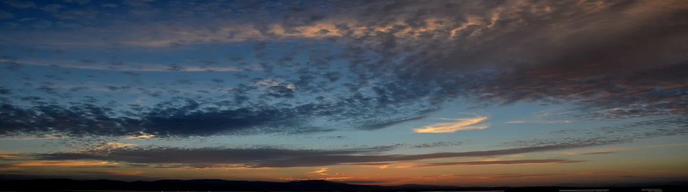 법무법인 서앤율