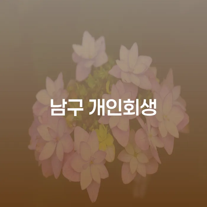 남구 개인회생을 통해 채무의 무게를 덜어보세요!